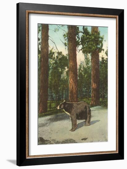 Bear, San Bernardino Mountains, California-null-Framed Art Print