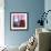 Bear Selfie-A Richard Allen-Framed Giclee Print displayed on a wall