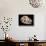 Bear Skull, Sima De Los Huesos-Javier Trueba-Framed Premier Image Canvas displayed on a wall