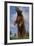 Bear Standing on Two Legs-DLILLC-Framed Photographic Print