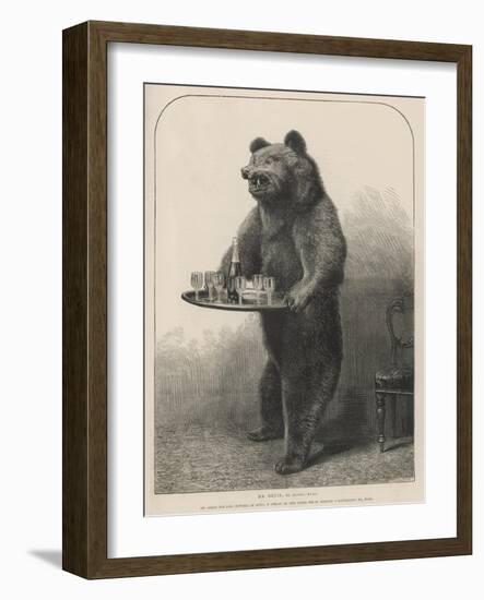 Bear Waiter-null-Framed Photographic Print