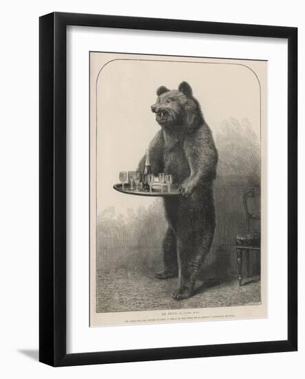 Bear Waiter-null-Framed Photographic Print