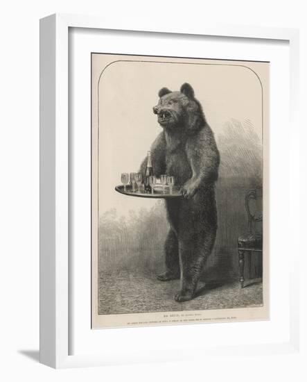 Bear Waiter-null-Framed Photographic Print