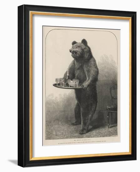 Bear Waiter-null-Framed Photographic Print