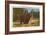 Bear, Yellowstone Park, Montana-null-Framed Art Print