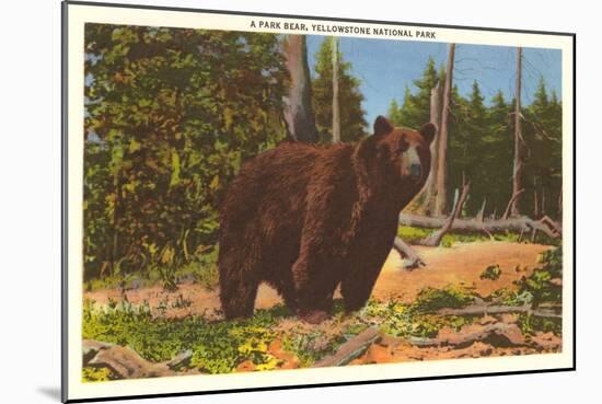Bear, Yellowstone Park, Montana-null-Mounted Art Print