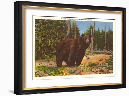 Bear, Yellowstone Park, Montana-null-Framed Art Print