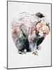 Bear-Mark Adlington-Mounted Giclee Print