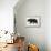 Bear-Florent Bodart-Framed Premier Image Canvas displayed on a wall