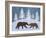 Bear-Erin Clark-Framed Giclee Print