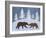 Bear-Erin Clark-Framed Giclee Print