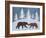 Bear-Erin Clark-Framed Giclee Print