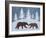 Bear-Erin Clark-Framed Giclee Print