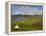 Beara Peninsula, Co, Cork and Co, Kerry, Ireland-Doug Pearson-Framed Premier Image Canvas