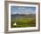 Beara Peninsula, Co, Cork and Co, Kerry, Ireland-Doug Pearson-Framed Photographic Print