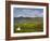 Beara Peninsula, Co, Cork and Co, Kerry, Ireland-Doug Pearson-Framed Photographic Print