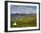 Beara Peninsula, Co, Cork and Co, Kerry, Ireland-Doug Pearson-Framed Photographic Print