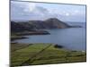 Beara Peninsula, County Cork, Munster, Republic of Ireland, Europe-Oliviero Olivieri-Mounted Photographic Print