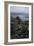 Beara Peninsula, County Cork, Republic of Ireland-Natalie Tepper-Framed Photo