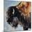 Bearded Buffalo-Renee Gould-Mounted Giclee Print
