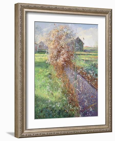 Bearded Bush-Timothy Easton-Framed Giclee Print