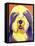 Bearded Collie - Banana-Dawgart-Framed Premier Image Canvas