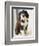 Bearded Collie Puppy-Jim Craigmyle-Framed Premium Photographic Print