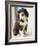 Bearded Collie Puppy-Jim Craigmyle-Framed Photographic Print