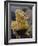 Bearded Dragon-Adam Jones-Framed Photographic Print