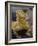 Bearded Dragon-Adam Jones-Framed Photographic Print