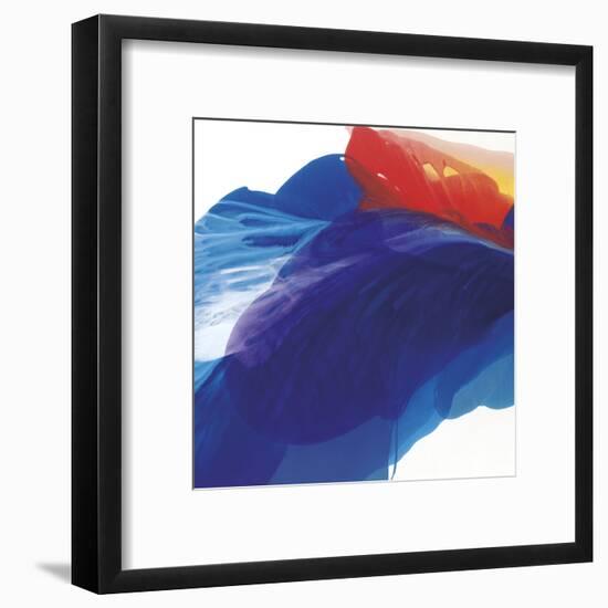 Bearded Iris in Focus-Nick Vivian-Framed Giclee Print