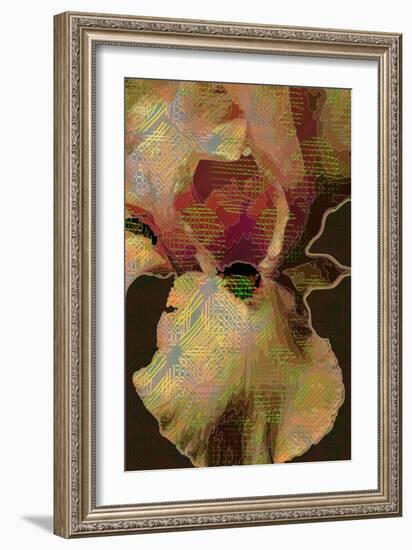 Bearded Iris-Scott J. Davis-Framed Giclee Print