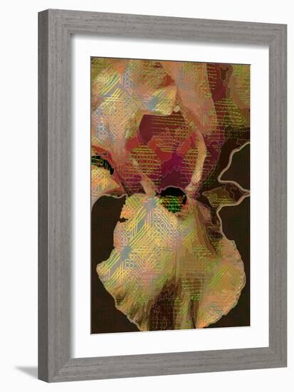 Bearded Iris-Scott J. Davis-Framed Giclee Print