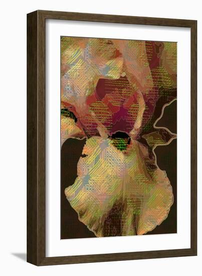 Bearded Iris-Scott J. Davis-Framed Giclee Print