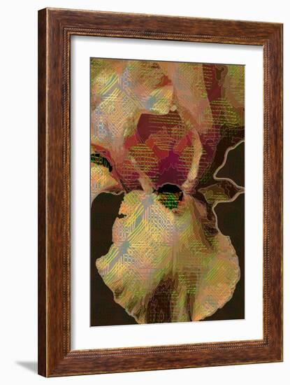 Bearded Iris-Scott J. Davis-Framed Giclee Print