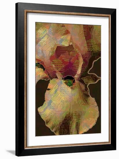 Bearded Iris-Scott J. Davis-Framed Giclee Print