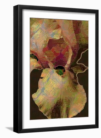 Bearded Iris-Scott J. Davis-Framed Giclee Print