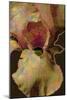 Bearded Iris-Scott J. Davis-Mounted Giclee Print
