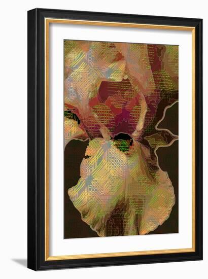 Bearded Iris-Scott J. Davis-Framed Giclee Print