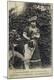 Photographic Print