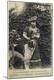 Photographic Print