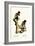 Bearded Saki, 1824-Karl Joseph Brodtmann-Framed Giclee Print