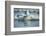 Bearded Seal Dives from Sea Ice in Hudson Bay, Nunavut, Canada-Paul Souders-Framed Photographic Print