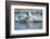 Bearded Seal Dives from Sea Ice in Hudson Bay, Nunavut, Canada-Paul Souders-Framed Photographic Print