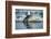 Bearded Seal Dives from Sea Ice in Hudson Bay, Nunavut, Canada-Paul Souders-Framed Photographic Print