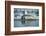 Bearded Seal Dives from Sea Ice in Hudson Bay, Nunavut, Canada-Paul Souders-Framed Photographic Print