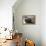 Bearded Seal on Iceberg in the Svalbard Islands-Paul Souders-Framed Premier Image Canvas displayed on a wall