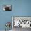 Bearded Seal on Iceberg in the Svalbard Islands-Paul Souders-Framed Premier Image Canvas displayed on a wall