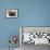 Bearded Seal on Iceberg in the Svalbard Islands-Paul Souders-Framed Photographic Print displayed on a wall