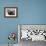 Bearded Seal on Iceberg in the Svalbard Islands-Paul Souders-Framed Photographic Print displayed on a wall